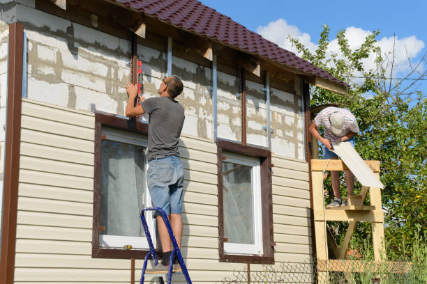 Best Insulated Siding Installation  in Hollandale, MS
