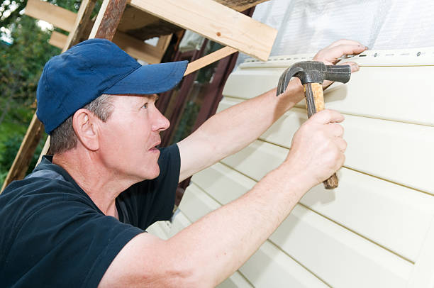 Best Vinyl Siding Installation  in Hollandale, MS