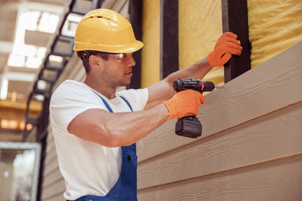 Best Stucco Siding  in Hollandale, MS